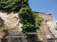 stello Lauria-12-08-2012 09-55-54